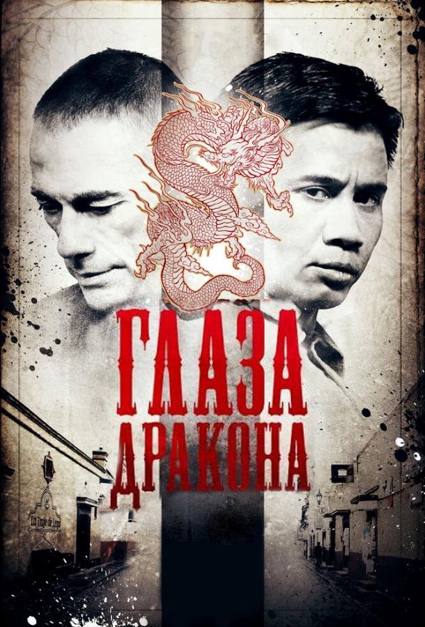 Глаза дракона (2011) 