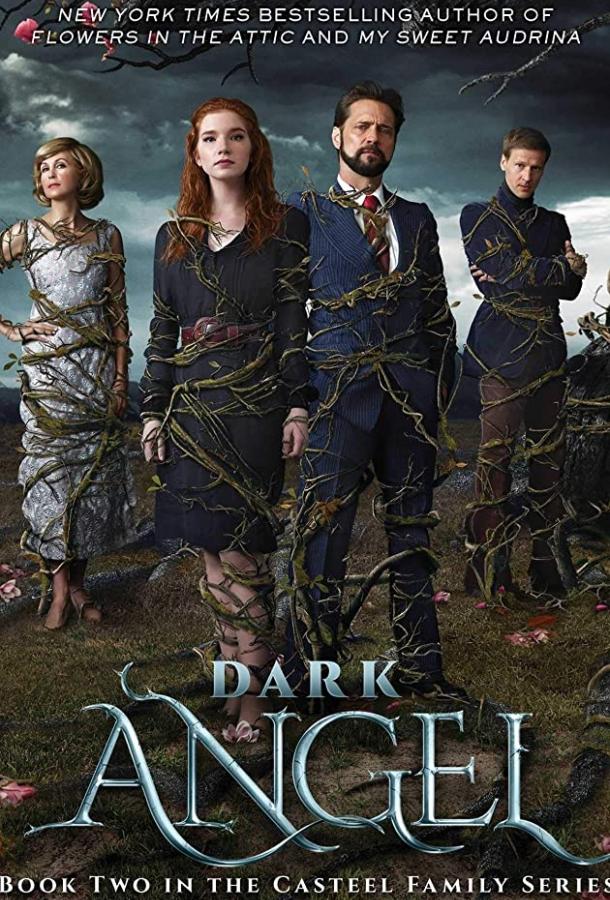 Тёмный ангел (2019) 