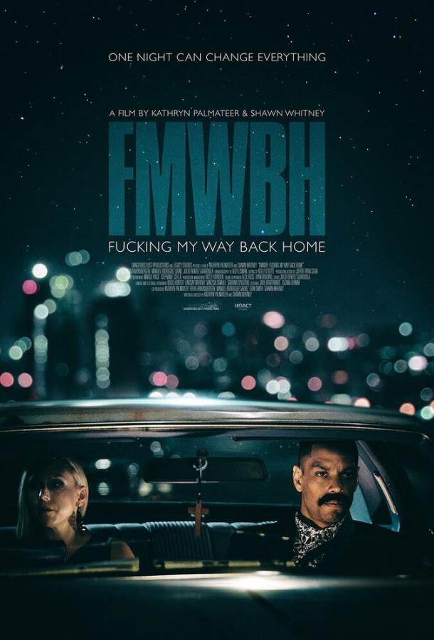 Трудный путь домой (2018) 