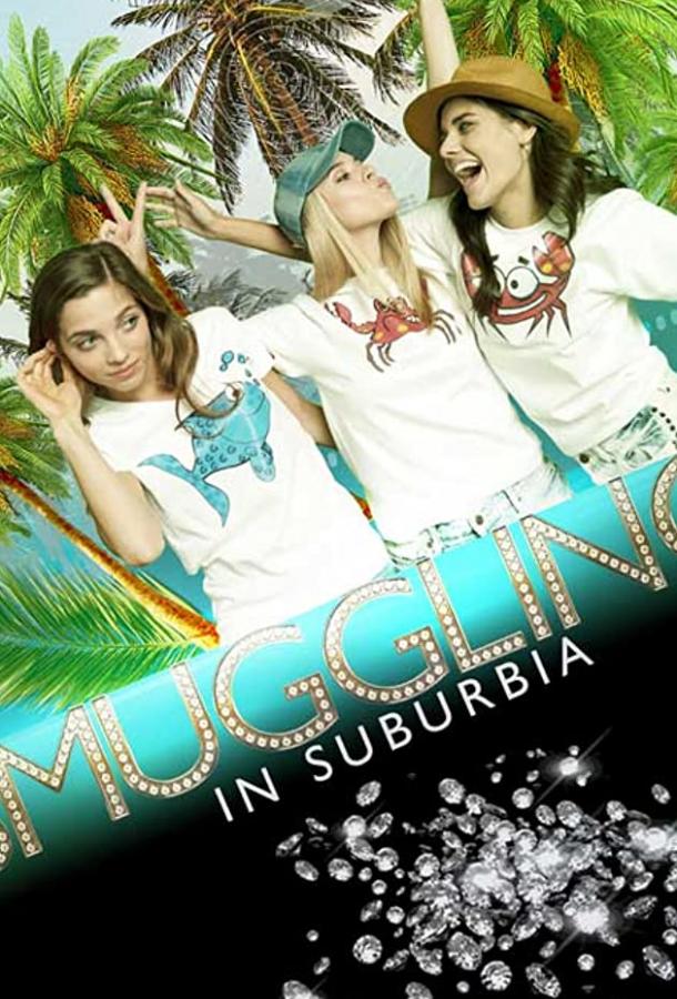 Контрабанда в пригороде (2019) 