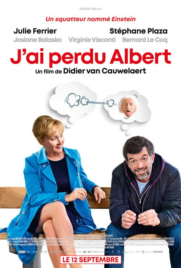 Я потерял Альбера (2018) 