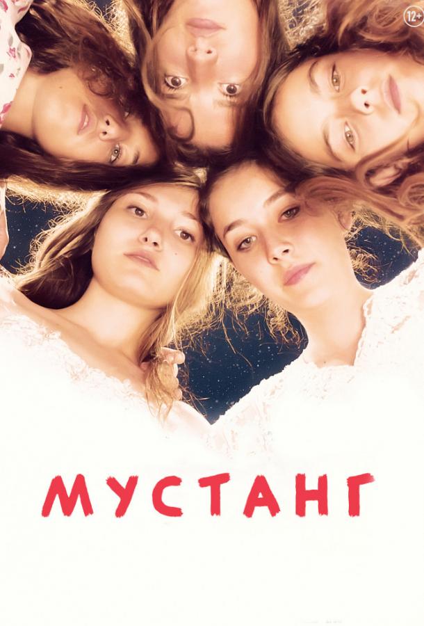 Мустанг (2015) 