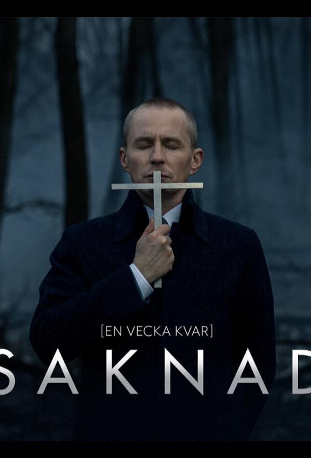 Пропавшая (2017) 1 сезон 4 серия