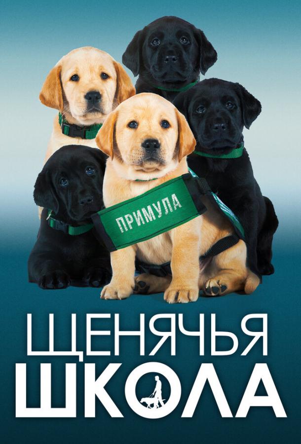 Щенячья школа (2018) 