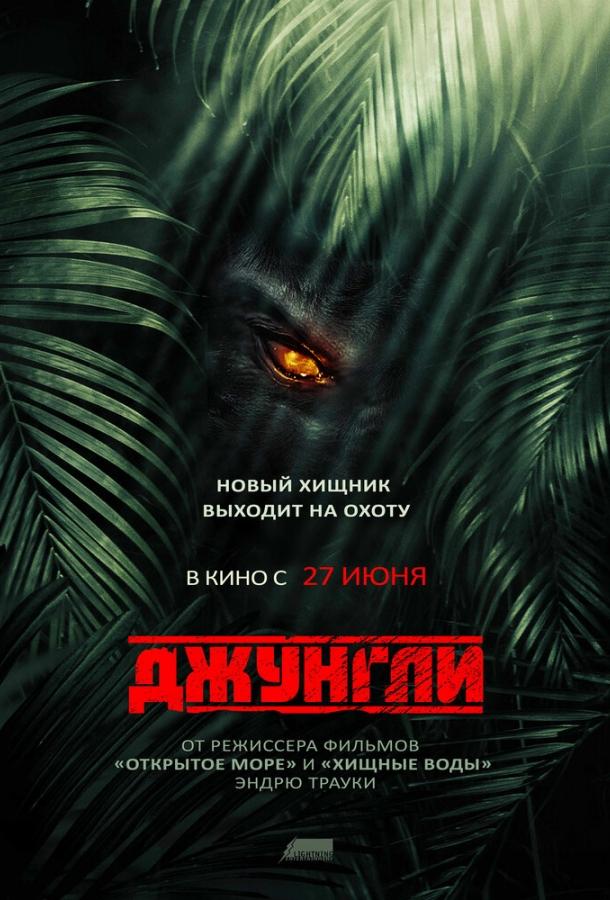 Джунгли (2013) 