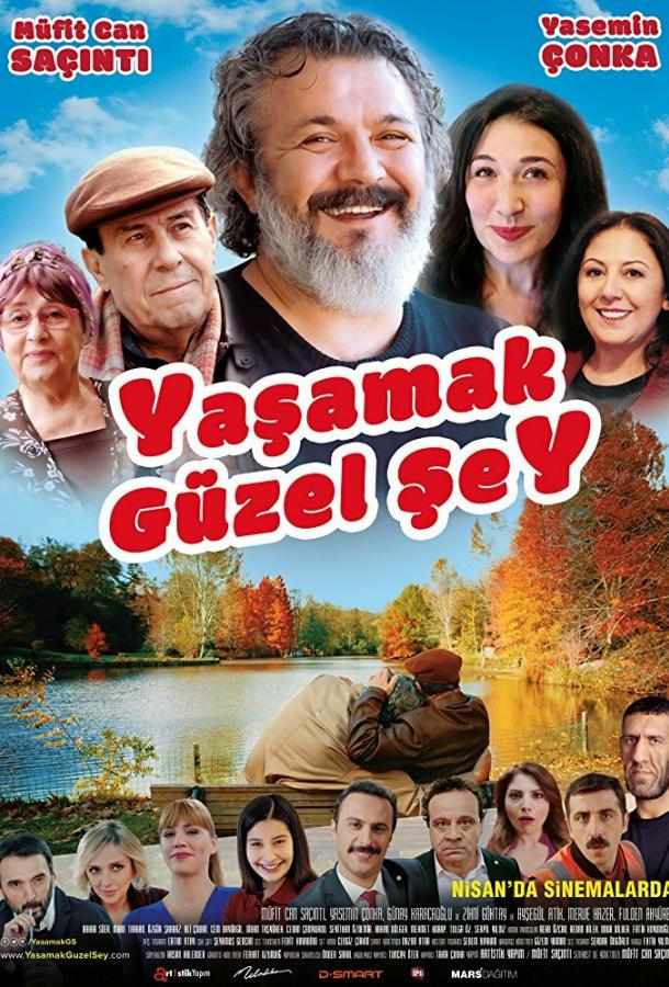 Жить прекрасно (2017) 