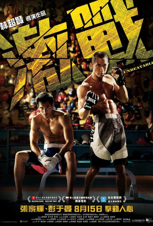 ММА (2013) 
