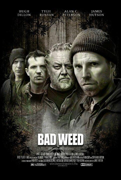 Последний урожай (2016) 