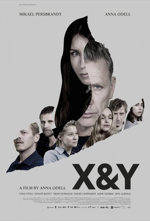 X и Y (2018) 