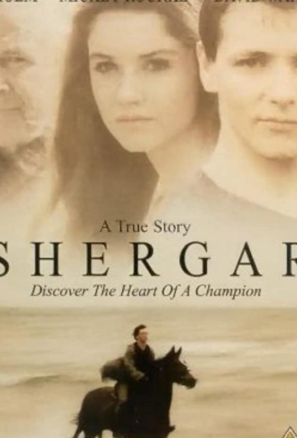 Похищение чемпиона (1999) 