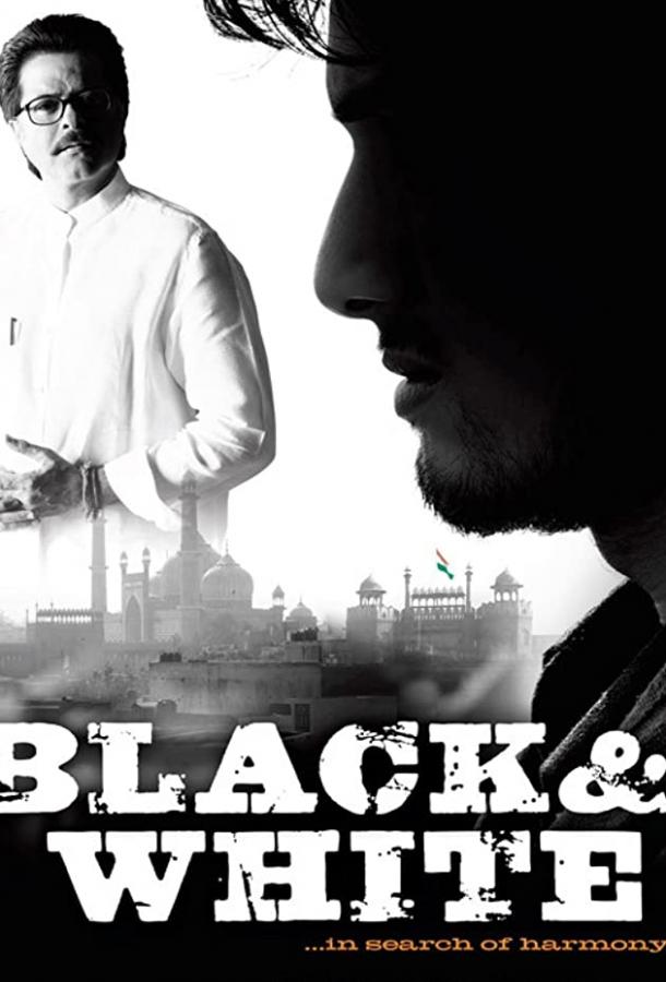 Черное и белое (2008) 