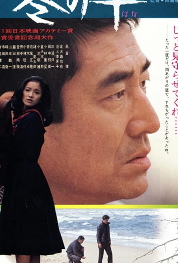 Зимний цветок (1978) 