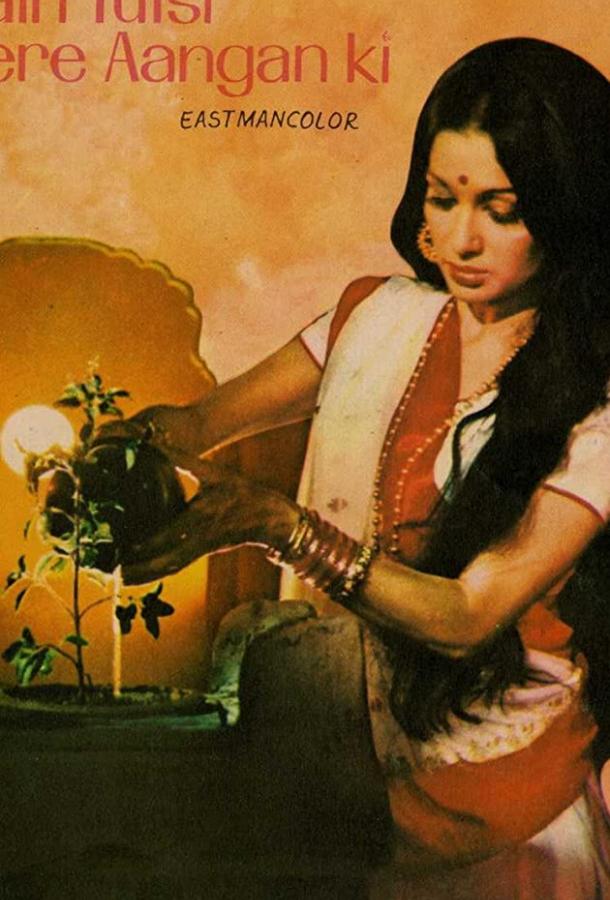 Внебрачный сын (1978) 