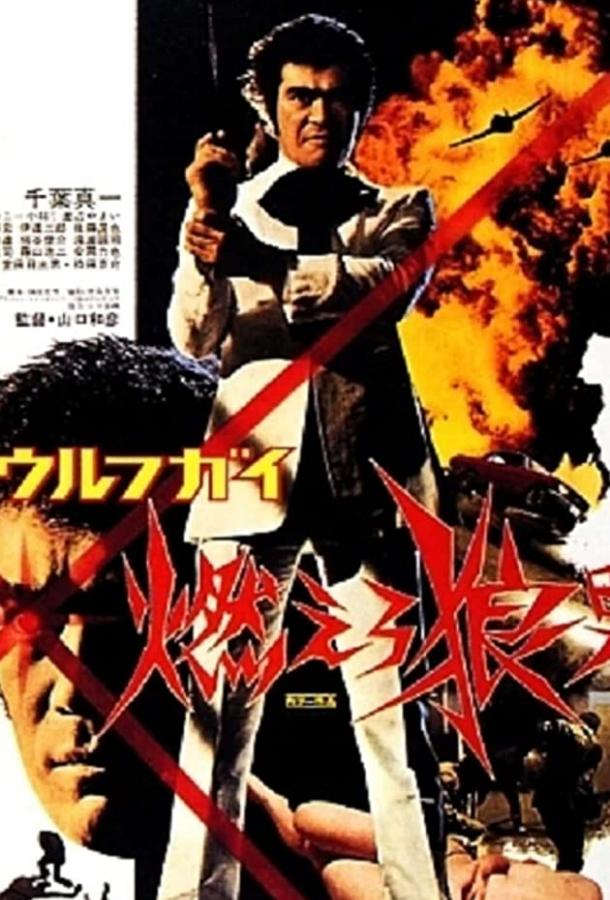 Оборотень: ярость человека-волка (1975) 