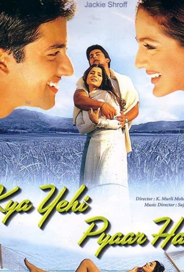 Любовь ли это? (2002) 