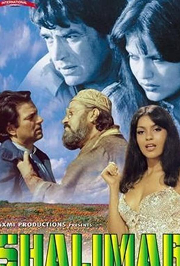 Бриллиант (1978) 
