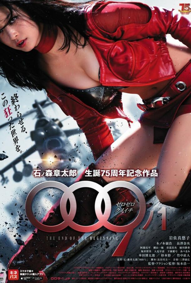 009-1: Конец начала (2013) 