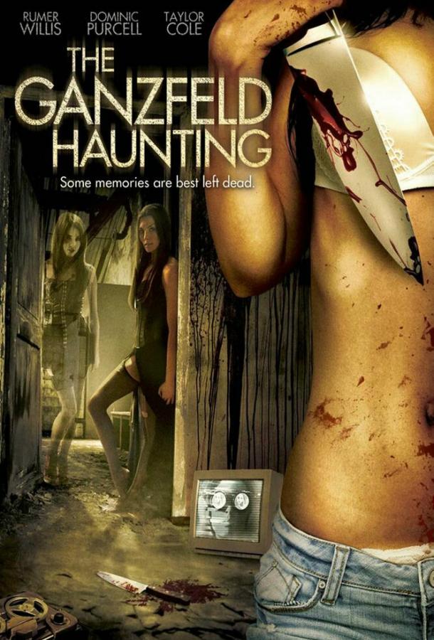 Эксперимент Ганцфельда (2013) 