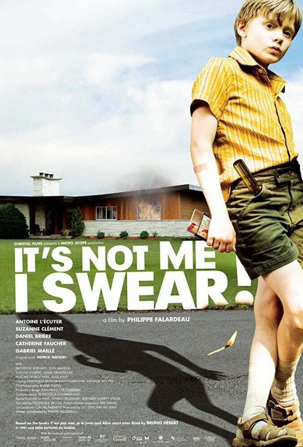 Клянусь, это не я (2008) 