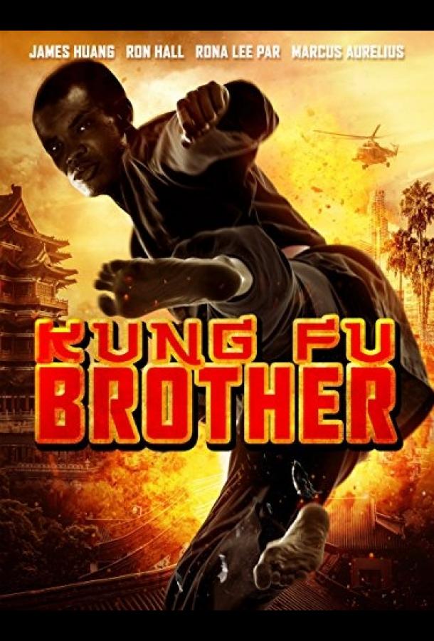 Кунг Фу Братья (2014) 