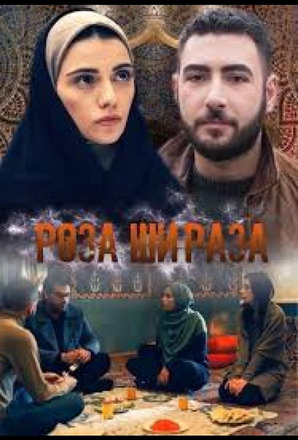 Роза Шираза (2020) 1 сезон 210 серия