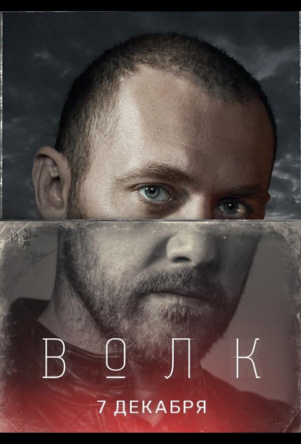 Волк (2020) 1 сезон 14 серия