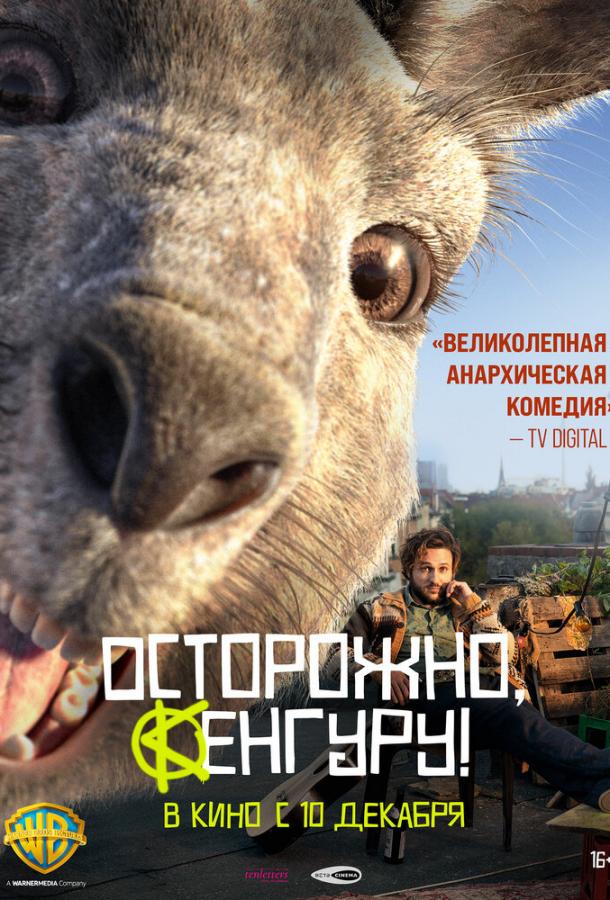 Осторожно, Кенгуру! (2020) 