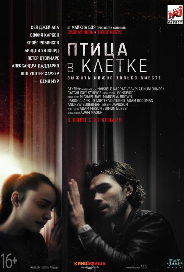 Птица в клетке (2020) 