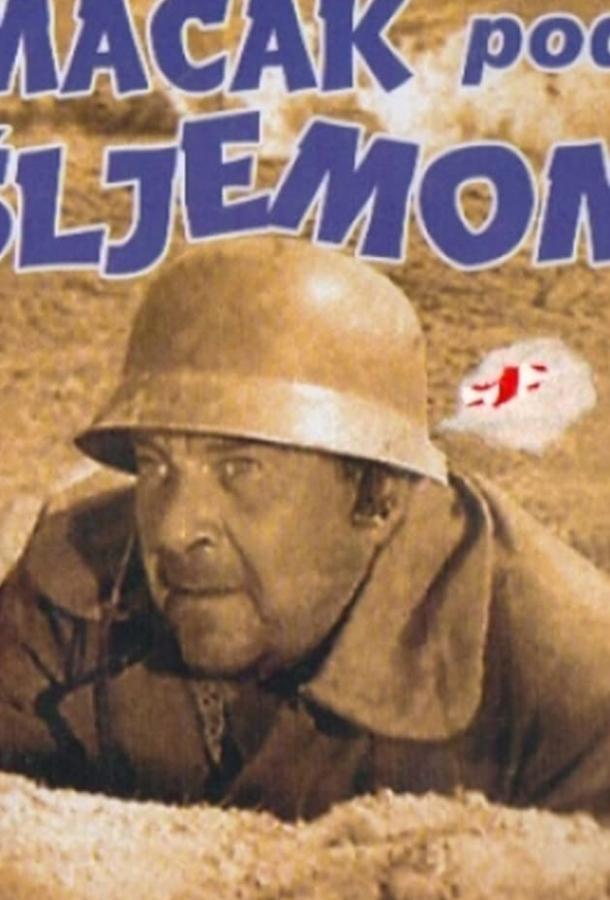 Кот под шлемом (1962) 