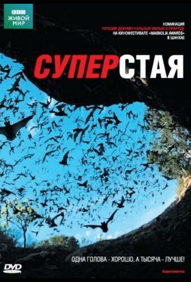 BBC: Суперстая (2009) 1 сезон 2 серия