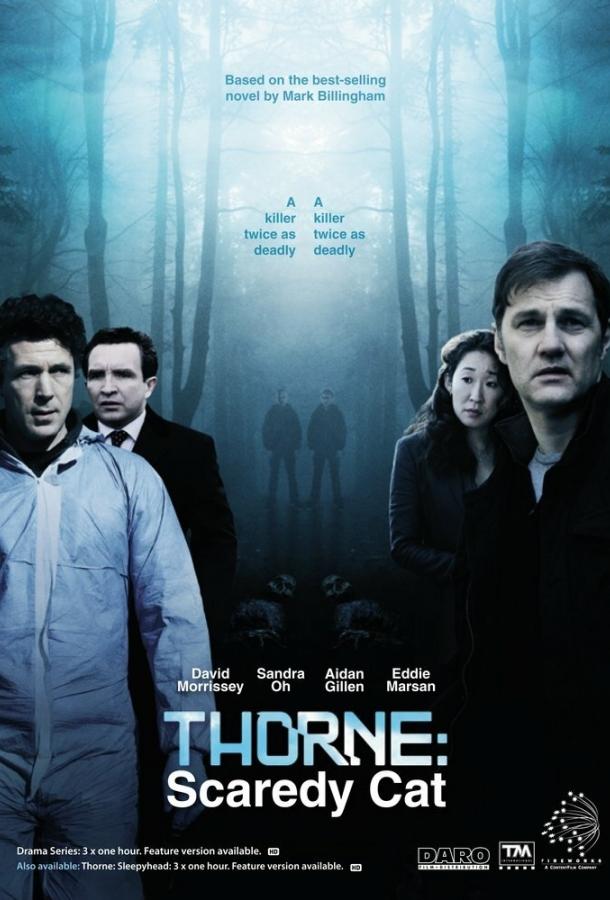 Торн: Пуганая ворона (2010) 1 сезон 6 серия