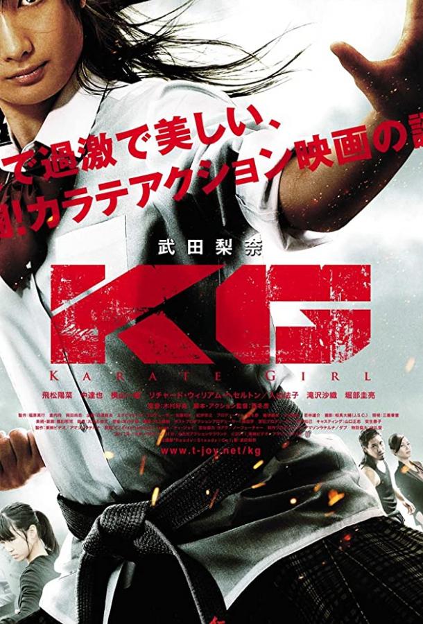Каратистка (2011) 