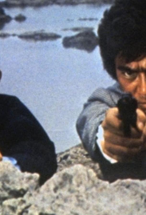 Ужасающая одержимость (1972) 