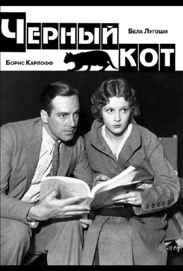 Черный кот (1934) 