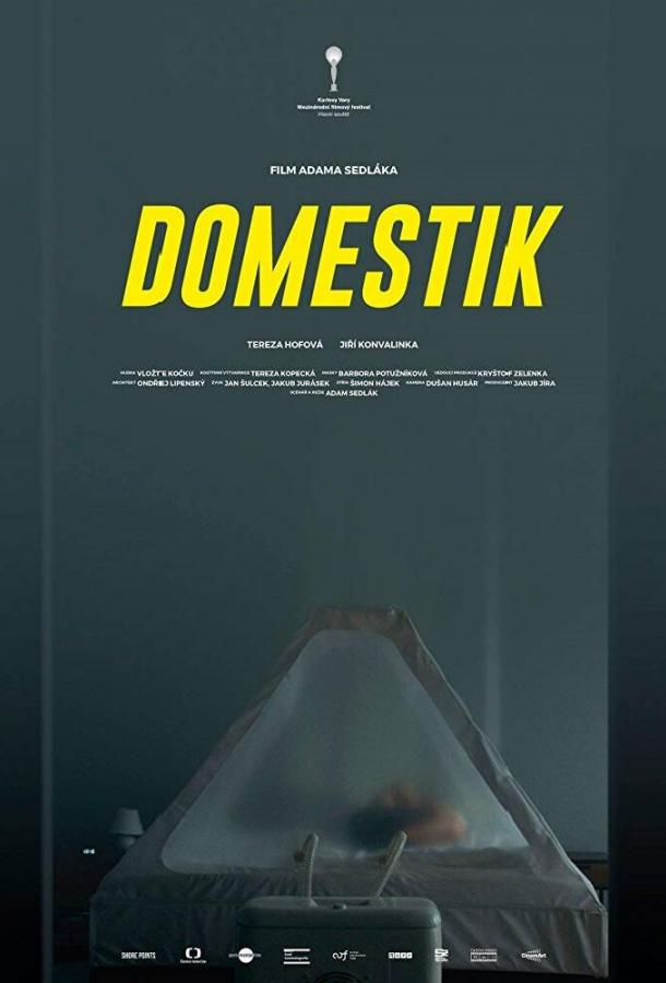 Домашний режим (2018) 