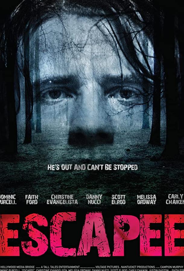 Беглец (2011) 