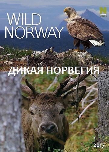 Дикая Норвегия (2017) 