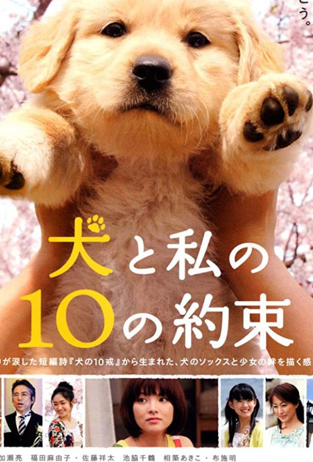10 обещаний моей собаке (2008) 