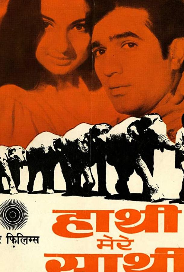 Слоны — мои друзья (1971) 