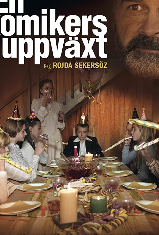 Моя жизнь в качестве комика (2019) 