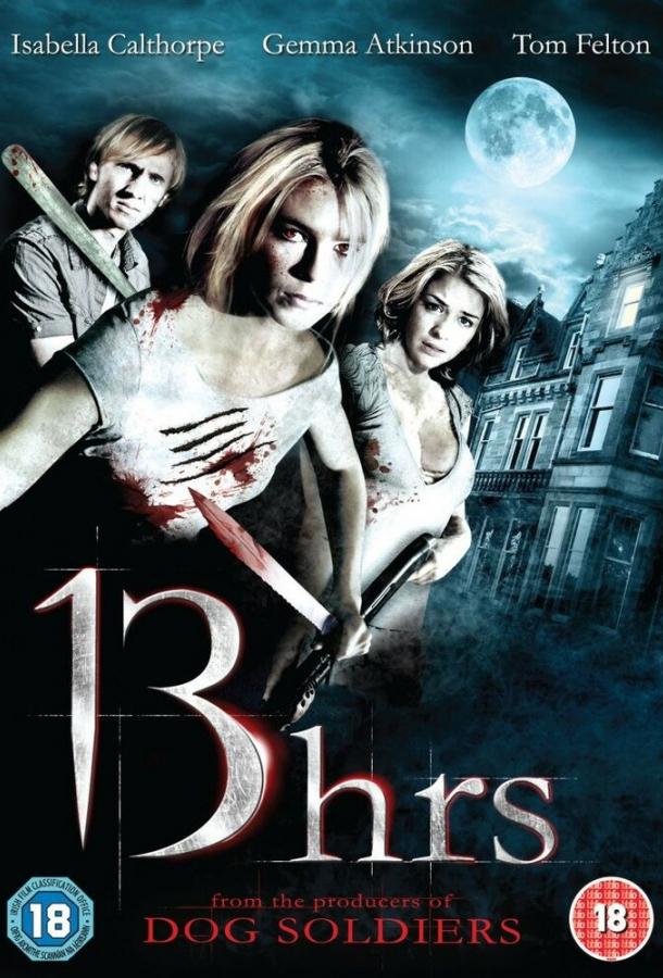 13 часов (2010) 