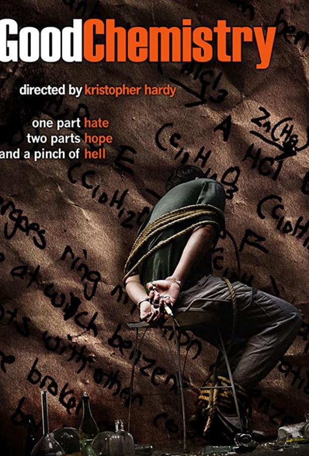 Хорошая химия (2008) 