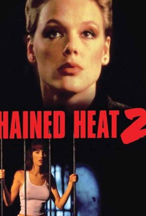 Женщины за решеткой 2 (1993) 