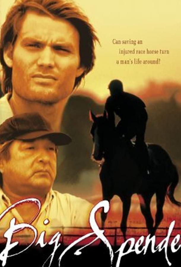 Возвращение чемпиона (ТВ) (2003) 