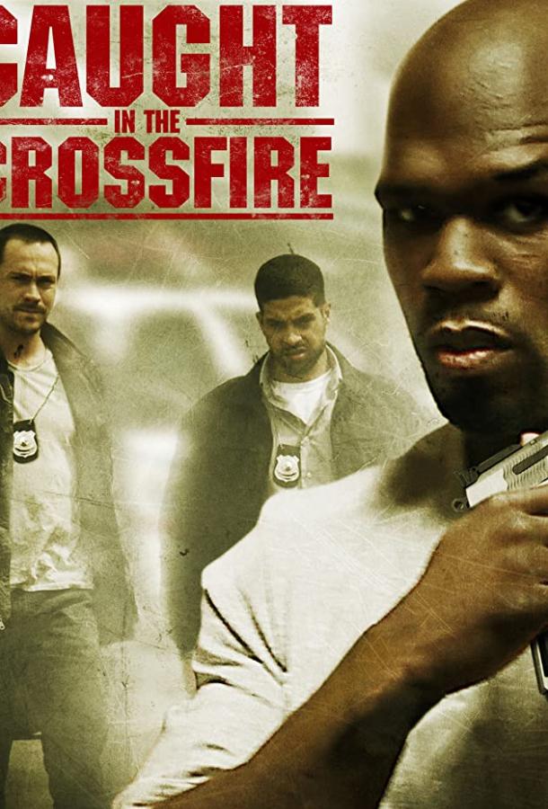 Под перекрестным огнем (2010) 