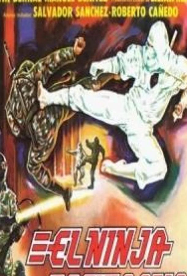 Мексиканский ниндзя (1991) 