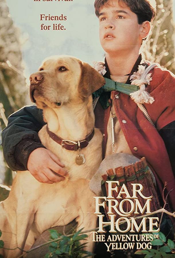 Далеко от дома: Приключения желтого пса (1994) 
