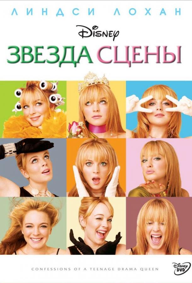 Звезда сцены (2004) 