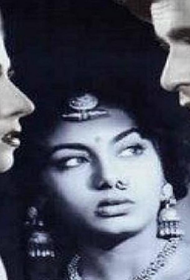 Амар (1954) 