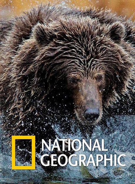 National Geographic. Империя гризли (2015) 